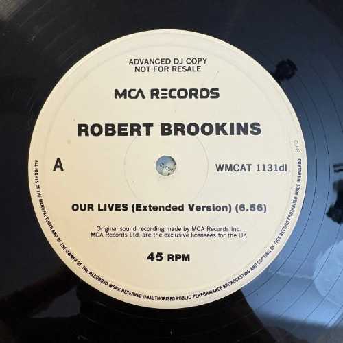 Our Lives - Robert Brookins