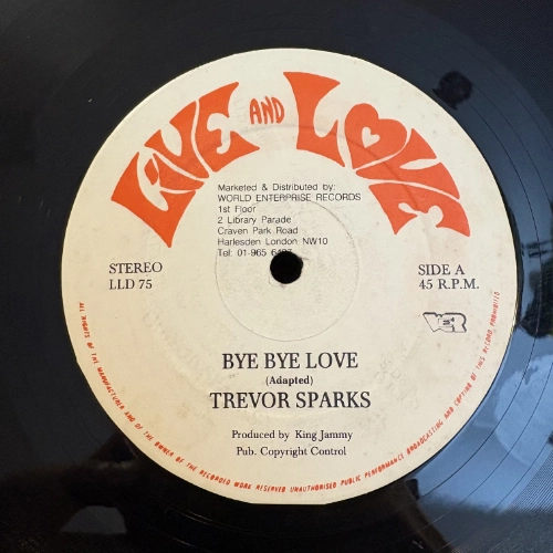 Bye Bye Love - Trevor Sparks